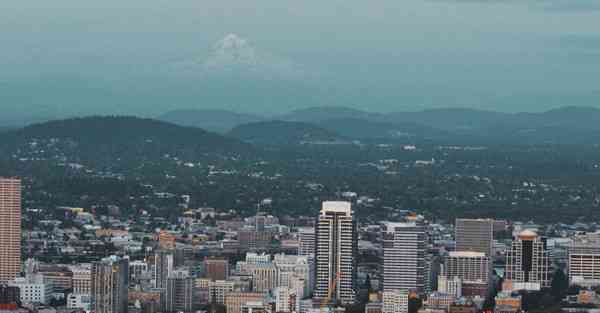 属猪2024年7月21日运势,属猪人2024年7月21日财运,生肖猪2024年7月21日运势