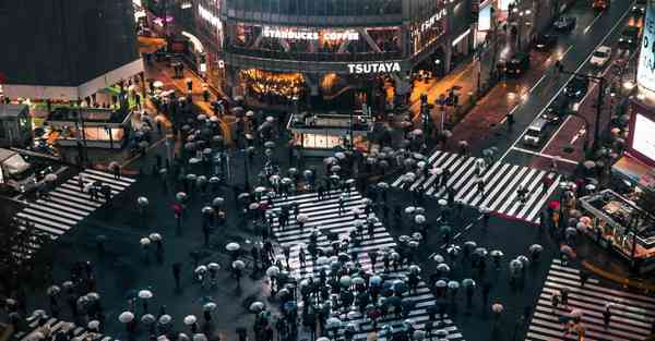 属羊2024年9月8日运势,属羊人2024年9月8日财运,生肖羊2024年9月8日运势